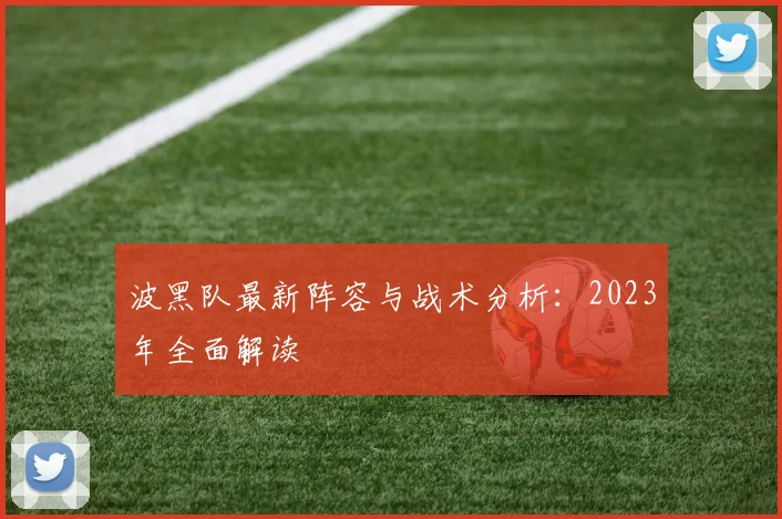 波黑队最新阵容与战术分析：2023年全面解读