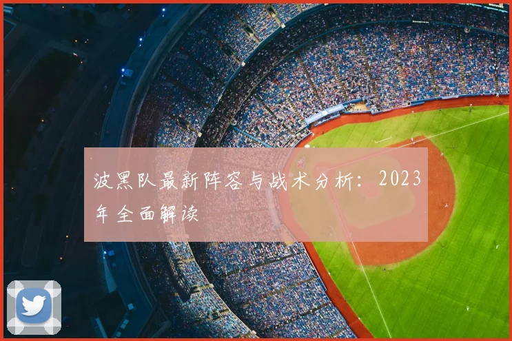 波黑队最新阵容与战术分析：2023年全面解读